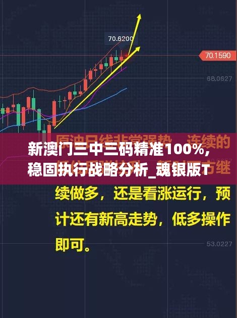 新澳门三中三码精准100%,稳固执行战略分析_魂银版TZZ16.36