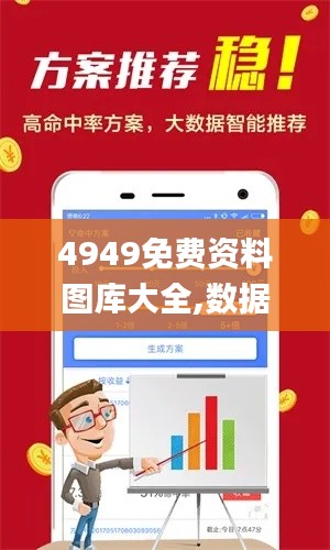 4949免费资料图库大全,数据分析计划_SE版TJT13.14