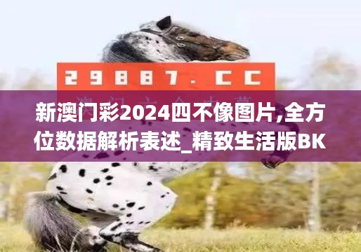 新澳门彩2024四不像图片,全方位数据解析表述_精致生活版BKE16.55