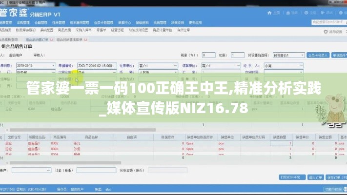 管家婆一票一码100正确王中王,精准分析实践_媒体宣传版NIZ16.78