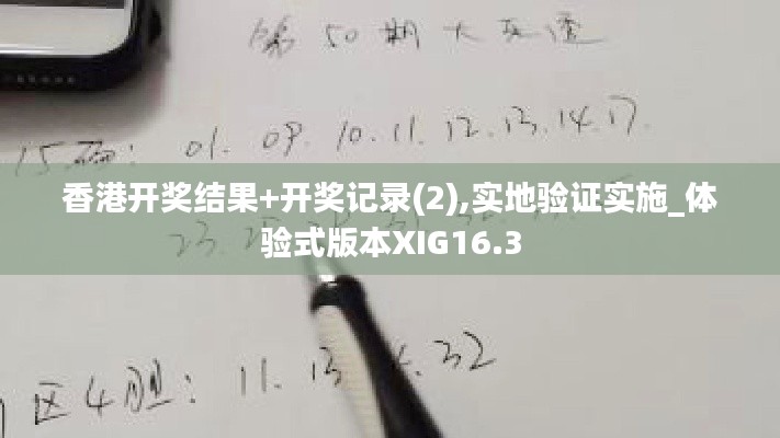 香港开奖结果+开奖记录(2),实地验证实施_体验式版本XIG16.3