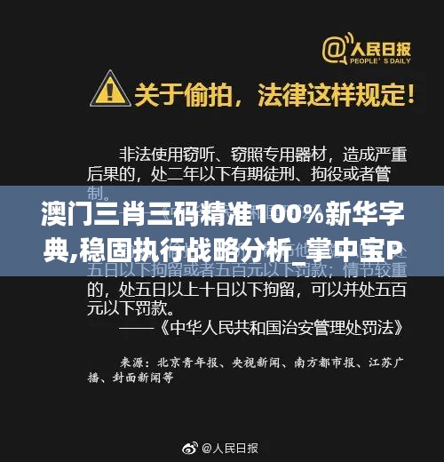 澳门三肖三码精准100%新华字典,稳固执行战略分析_掌中宝PNQ16.28