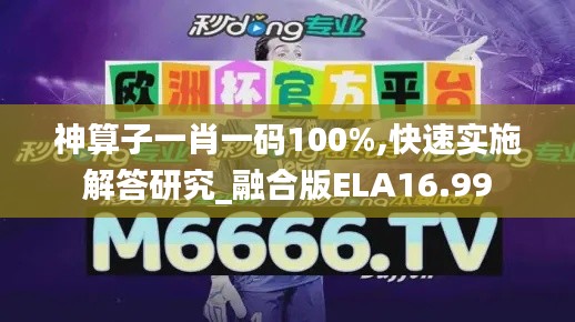 神算子一肖一码100%,快速实施解答研究_融合版ELA16.99