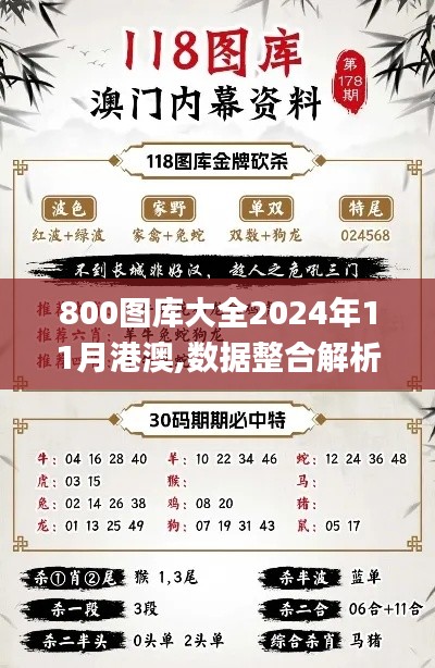 800图库大全2024年11月港澳,数据整合解析计划_奢华版RTL16.39