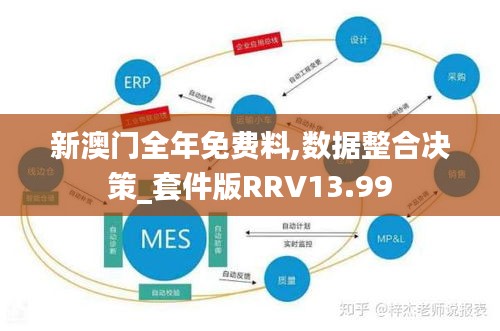 新澳门全年免费料,数据整合决策_套件版RRV13.99