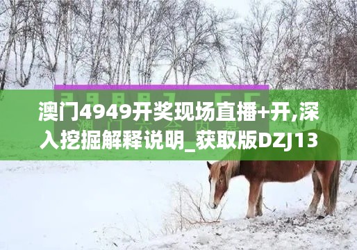 澳门4949开奖现场直播+开,深入挖掘解释说明_获取版DZJ13.1