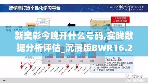 新奥彩今晚开什么号码,实践数据分析评估_沉浸版BWR16.26