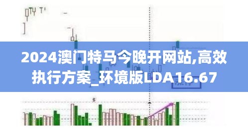 2024澳门特马今晚开网站,高效执行方案_环境版LDA16.67