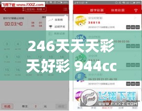 246天天天彩天好彩 944cc246040,安全性方案执行_通行证版OXO13.57