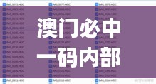 澳门必中一码内部公开发布,平衡执行计划实施_编辑版FNU16.6