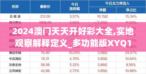 2024澳门天天开好彩大全,实地观察解释定义_多功能版XYQ16.77