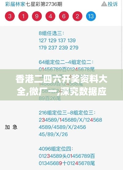 香港二四六开奖资料大全,微厂一,深究数据应用策略_精致版IMY13.82