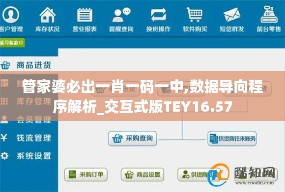 管家婆必出一肖一码一中,数据导向程序解析_交互式版TEY16.57