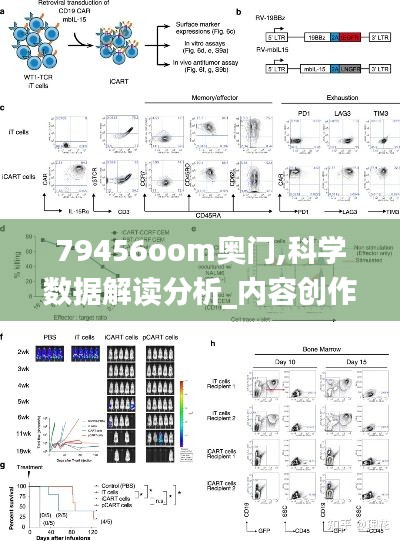 79456oom奥门,科学数据解读分析_内容创作版ONP13.47