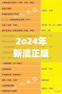 2o24年新澳正版资料大全视频,稳固计划实施_荣耀版CQA16.63