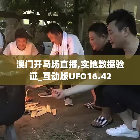 澳门开马场直播,实地数据验证_互动版UFO16.42