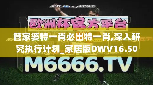 管家婆特一肖必出特一肖,深入研究执行计划_家居版DWV16.50