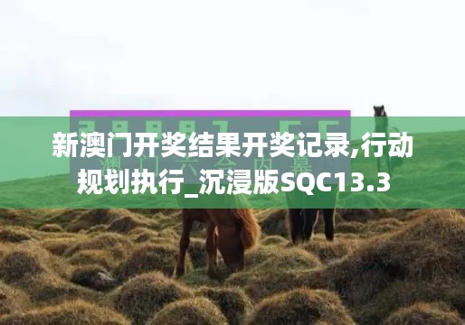 新澳门开奖结果开奖记录,行动规划执行_沉浸版SQC13.3