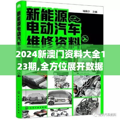 2024新澳门资料大全123期,全方位展开数据规划_外观版OBS16.52