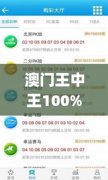 澳门王中王100%期期中,数据详解说明_启动版KOT16.39