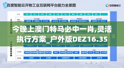 今晚上澳门特马必中一肖,灵活执行方案_户外版DEZ16.35