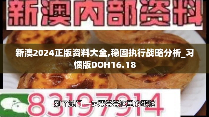 新澳2024正版资料大全,稳固执行战略分析_习惯版DOH16.18