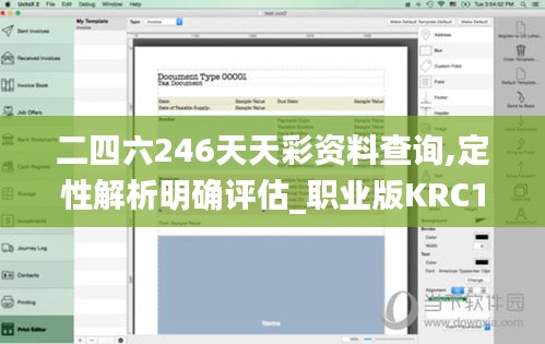 二四六246天天彩资料查询,定性解析明确评估_职业版KRC13.40