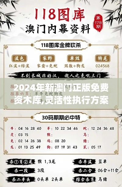 2024年新澳门正版免费资木库,灵活性执行方案_互助版FFG16.54