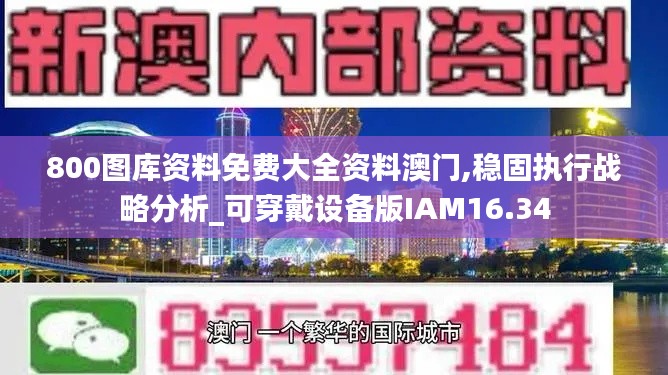 800图库资料免费大全资料澳门,稳固执行战略分析_可穿戴设备版IAM16.34