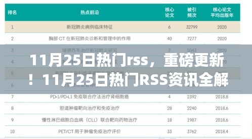 11月25日热门RSS资讯解析，小红书带你领略最新潮流重磅更新！