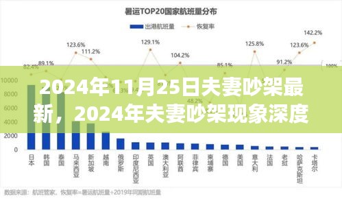 2024年夫妻吵架现象深度解析，最新案例与原因探讨