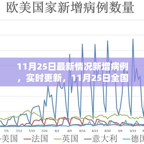 11月25日全国疫情最新动态，新增病例分析与实时更新应对策略