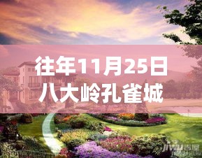 往年11月25日八大岭孔雀城房价深度解析与体验报告，最新房价特性一览及测评报告揭秘！