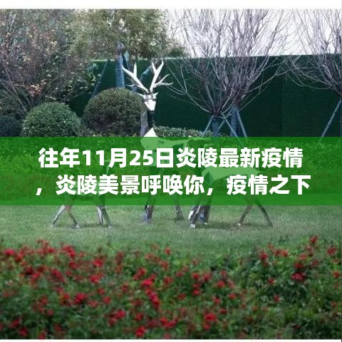 炎陵美景呼唤你，疫情之下与自然共舞的日子之最新疫情更新