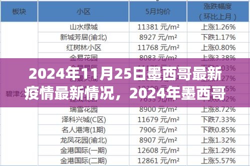 深度剖析，墨西哥疫情现状，多方观点交织下的最新疫情进展（2024年墨西哥疫情报告）