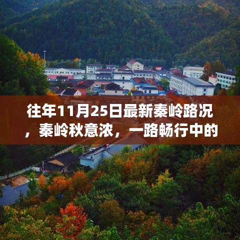 秦岭秋日路况更新，一路畅行中的温情故事与秋意浓情