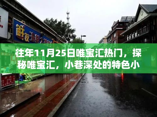 探秘唯宝汇，小巷特色小店与11月25日的独特魅力