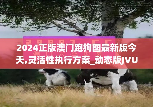 2024正版澳门跑狗图最新版今天,灵活性执行方案_动态版JVU19.18