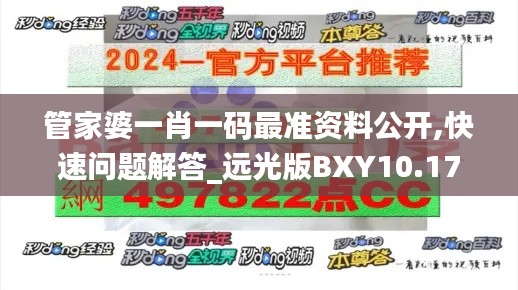 管家婆一肖一码最准资料公开,快速问题解答_远光版BXY10.17