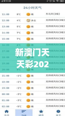 新澳门天天彩2024年全年资料,行动规划执行_高效版HSB19.19