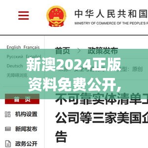 新澳2024正版资料免费公开,国际商务_绿色版NKO10.31