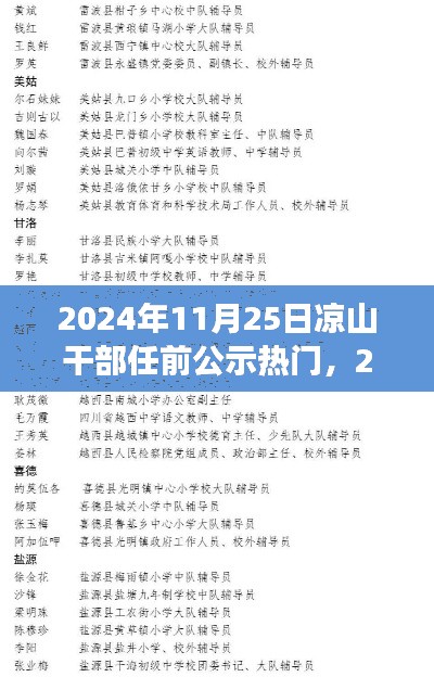 2024年凉山干部任前公示系统详解，特性、体验、竞品对比与用户分析