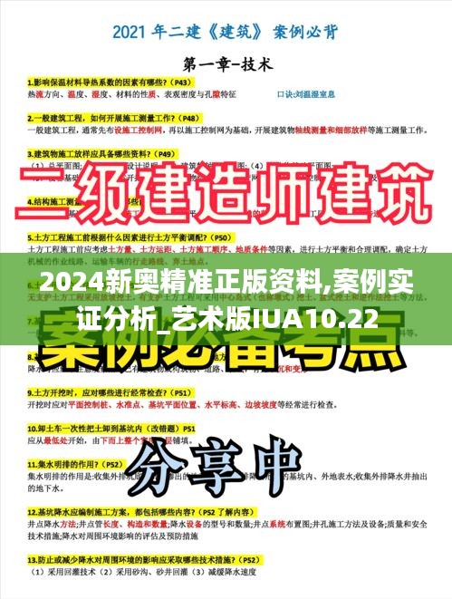 2024新奥精准正版资料,案例实证分析_艺术版IUA10.22