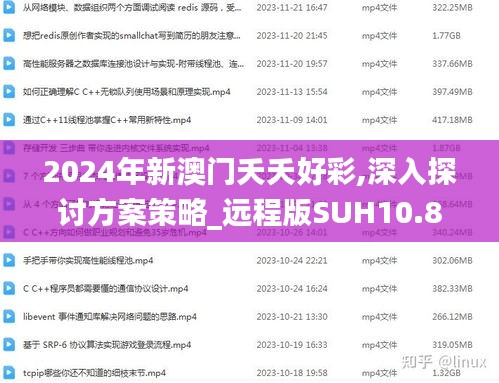 2024年新澳门夭夭好彩,深入探讨方案策略_远程版SUH10.87