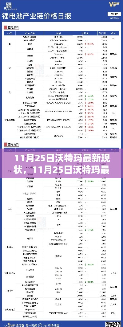 11月25日沃特玛最新现状分析，深度解析其现状与发展趋势