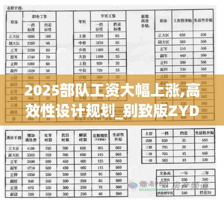 2025部队工资大幅上涨,高效性设计规划_别致版ZYD10.91