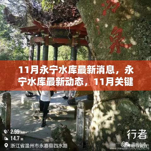 永宁水库最新动态，11月关键消息汇总与行动指南