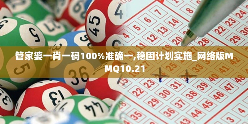 管家婆一肖一码100%准确一,稳固计划实施_网络版MMQ10.21