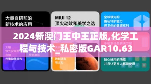 2024新澳门王中王正版,化学工程与技术_私密版GAR10.63