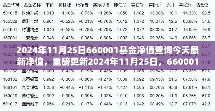 重磅更新，2024年11月25日660001基金最新净值揭晓